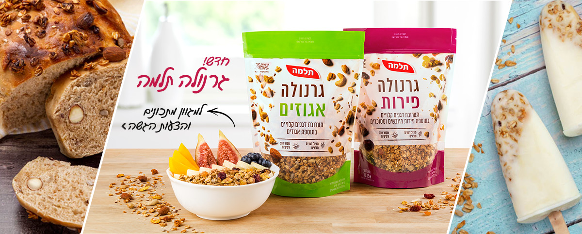 header1200x482 | תלמה