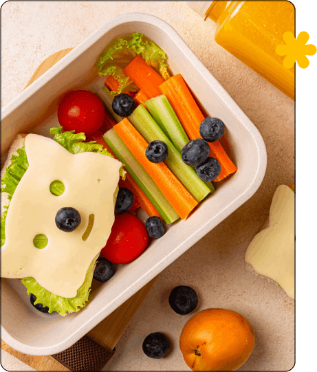 קופסאת אוכל